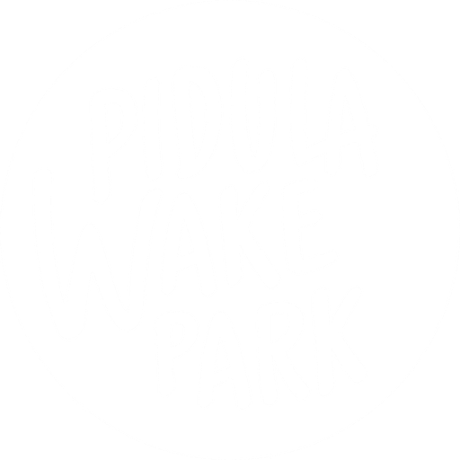 Pidula Wakepark
