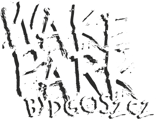Wakepark Bydgoszcz